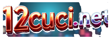 12cuci net logo